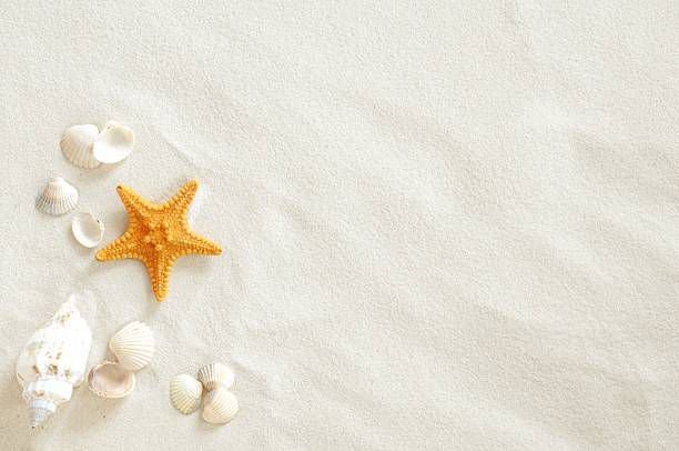 beach8573058910492675145.jpg