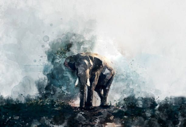 beautiful-painting-art-watercolor-elephant5094907420322655247.jpg