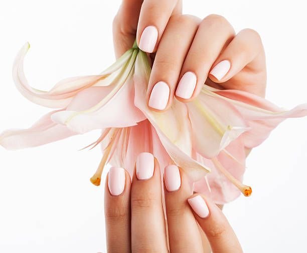 beauty-delicate-hands-with-manicure-holding-flower-lily-close-up4754483450778043901.jpg