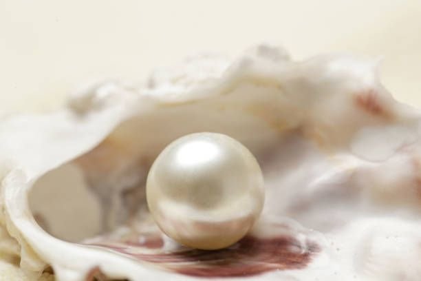 close-up-image-of-organic-pearl-in-a-shell8005035073592486335.jpg