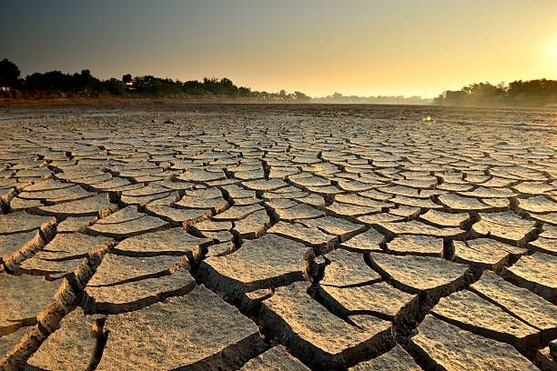 drought-land5761017189004692177.jpg