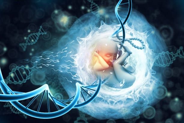 human-fetus-and-dna-on-scientific-background-3d-illustration2660537310640303505.jpg