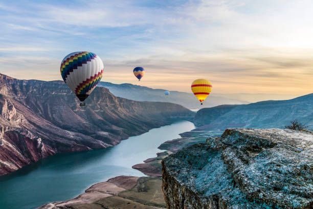 istockphoto-1309631741-612×6128472014132843466994.jpg