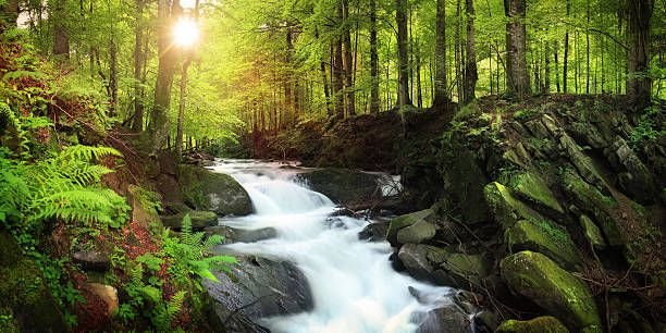 istockphoto-149150491-612×612-18696646320002291729..jpg