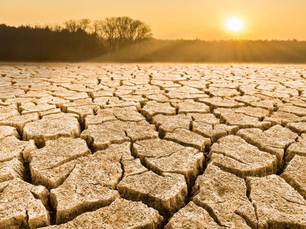 parched-cracked-soil-in-landscape-at-sunrise3627476804474694644.jpg