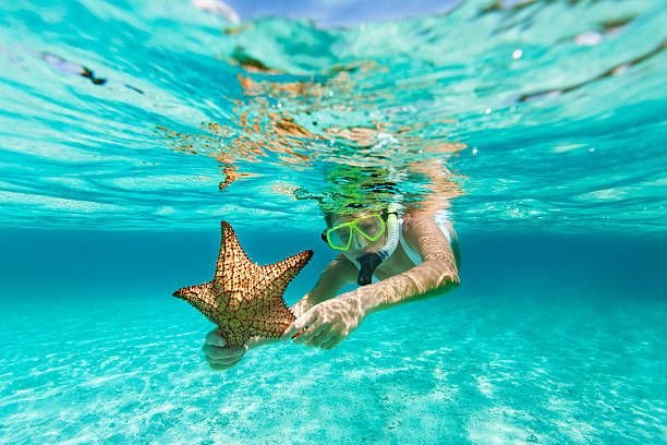 woman-with-snorkel-and-mask-holding-a-starfish5571094832051915776.jpg