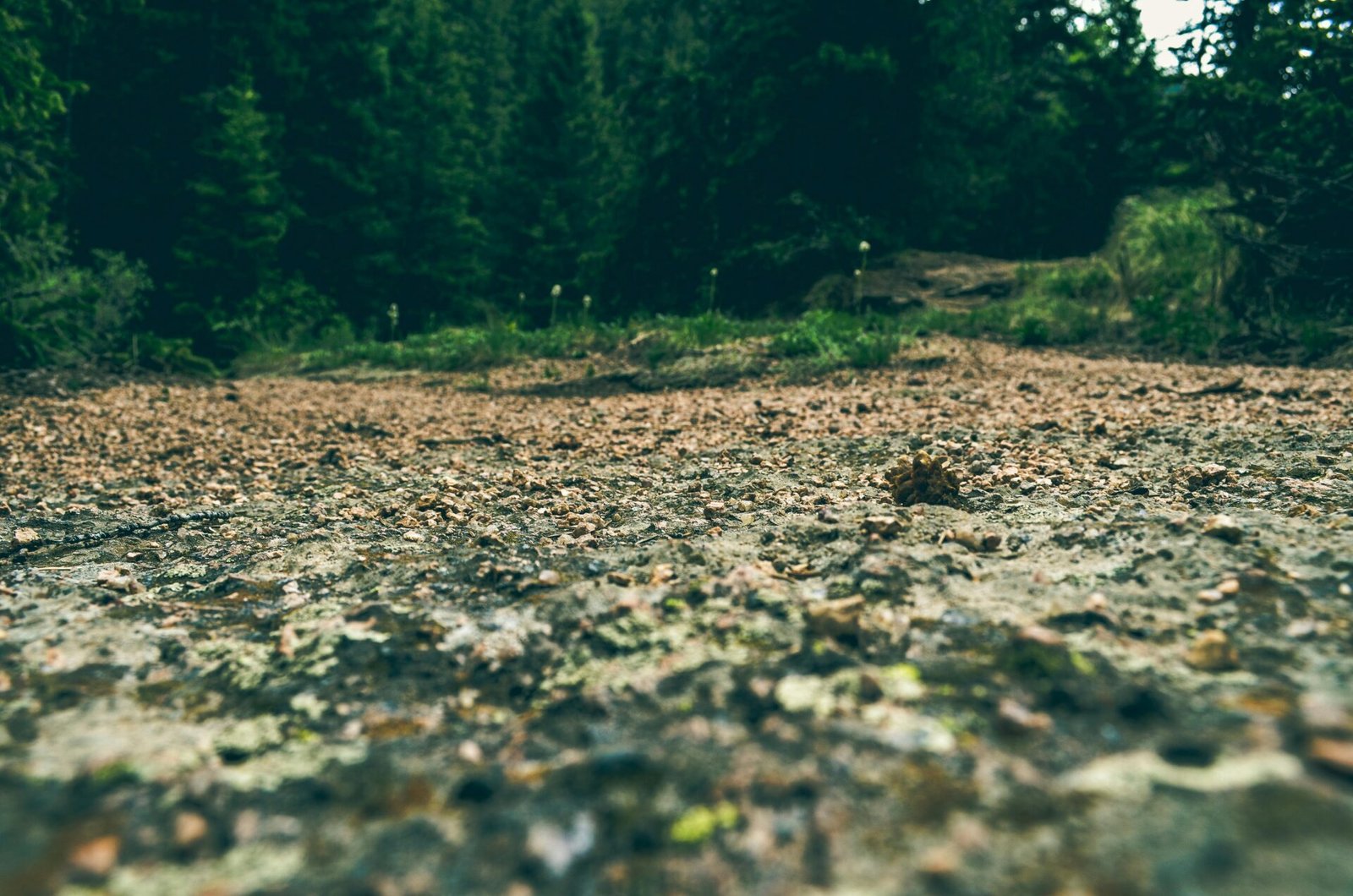 pexels-d0nmil0-935489