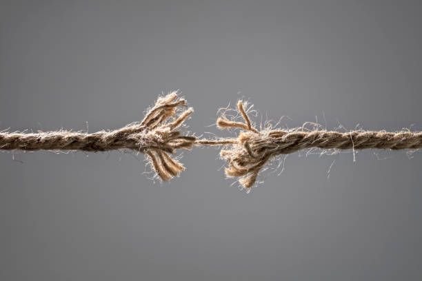 istockphoto-1206615949-612×6124160725681610593656.jpg