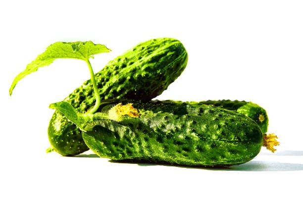 istockphoto-1247019700-612×6125472282604559884509.jpg