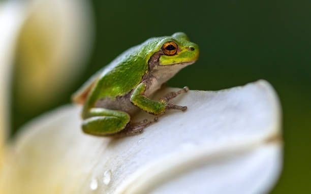 istockphoto-1636534681-612×6122550999897709378769.jpg