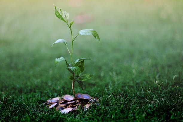 istockphoto-810391644-612×6128511196591073988136.jpg