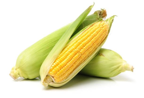 istockphoto-841408966-612×6127610950753309177422.jpg