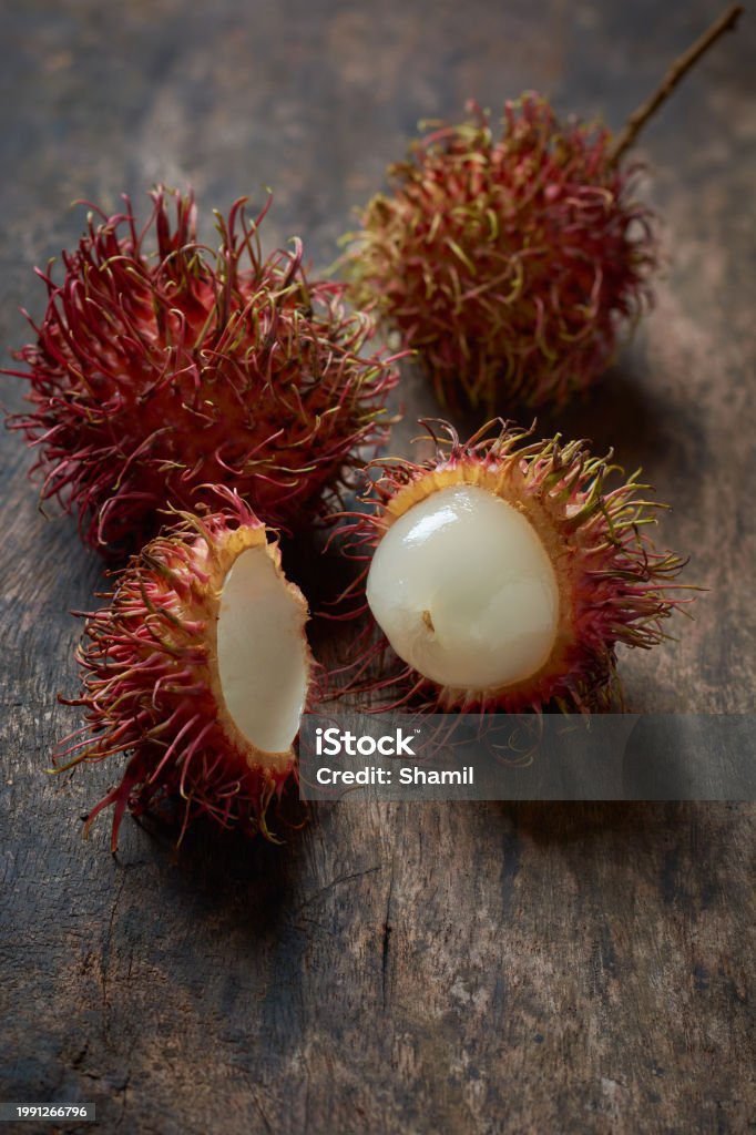 istockphoto-1991266796-1024×1024