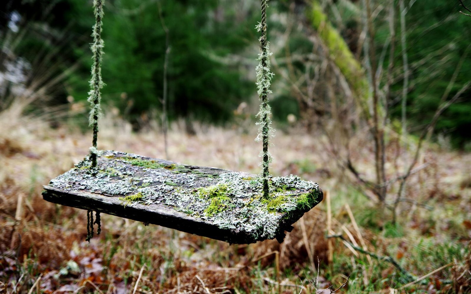 pexels-pille-kirsi-222198-759374
