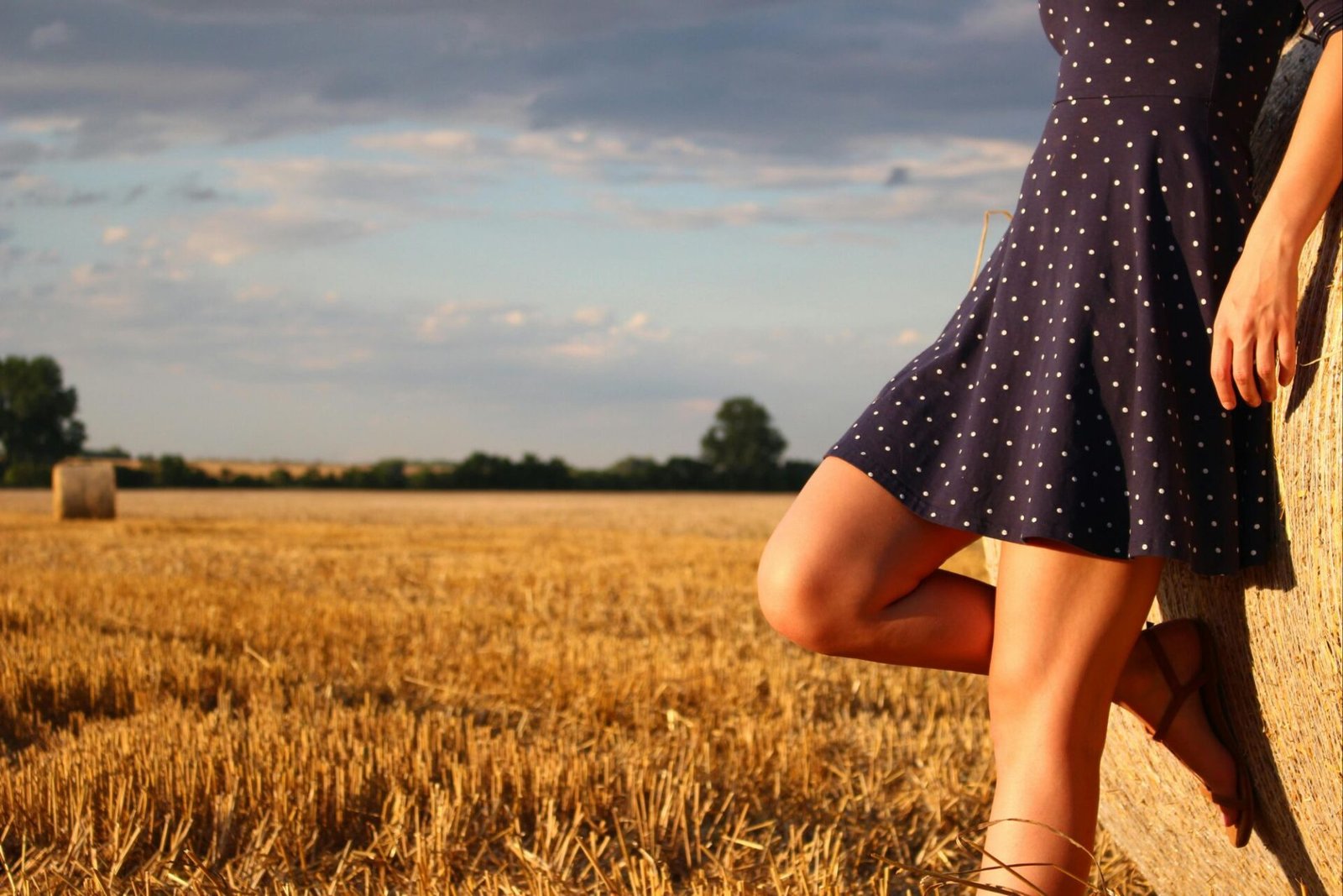 pexels-tofros-com-83191-2578496800292219024032649.jpg