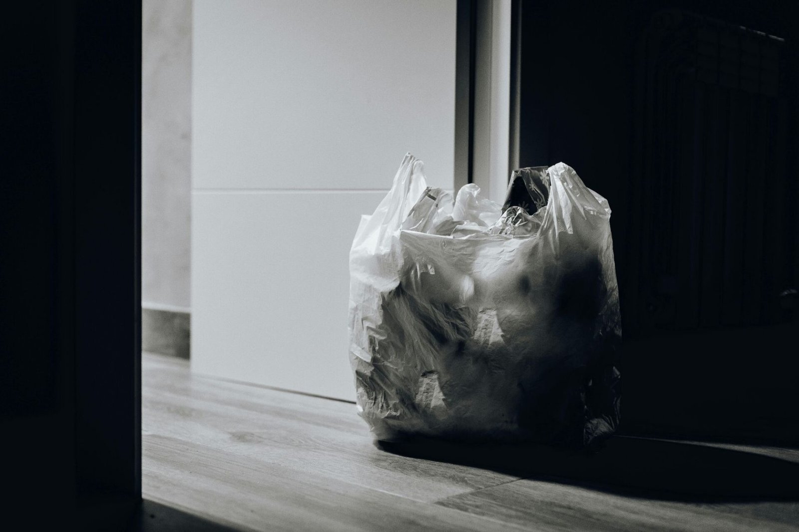 pexels-juanpphotoandvideo-15495286645829515646575836.jpg