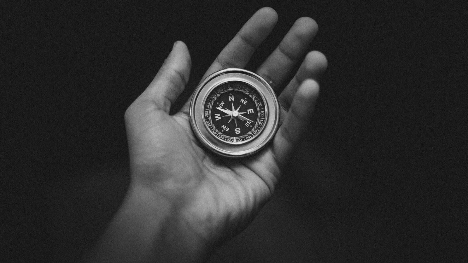 pexels-bakr-magrabi-928159-32036595757515735789221885.jpg