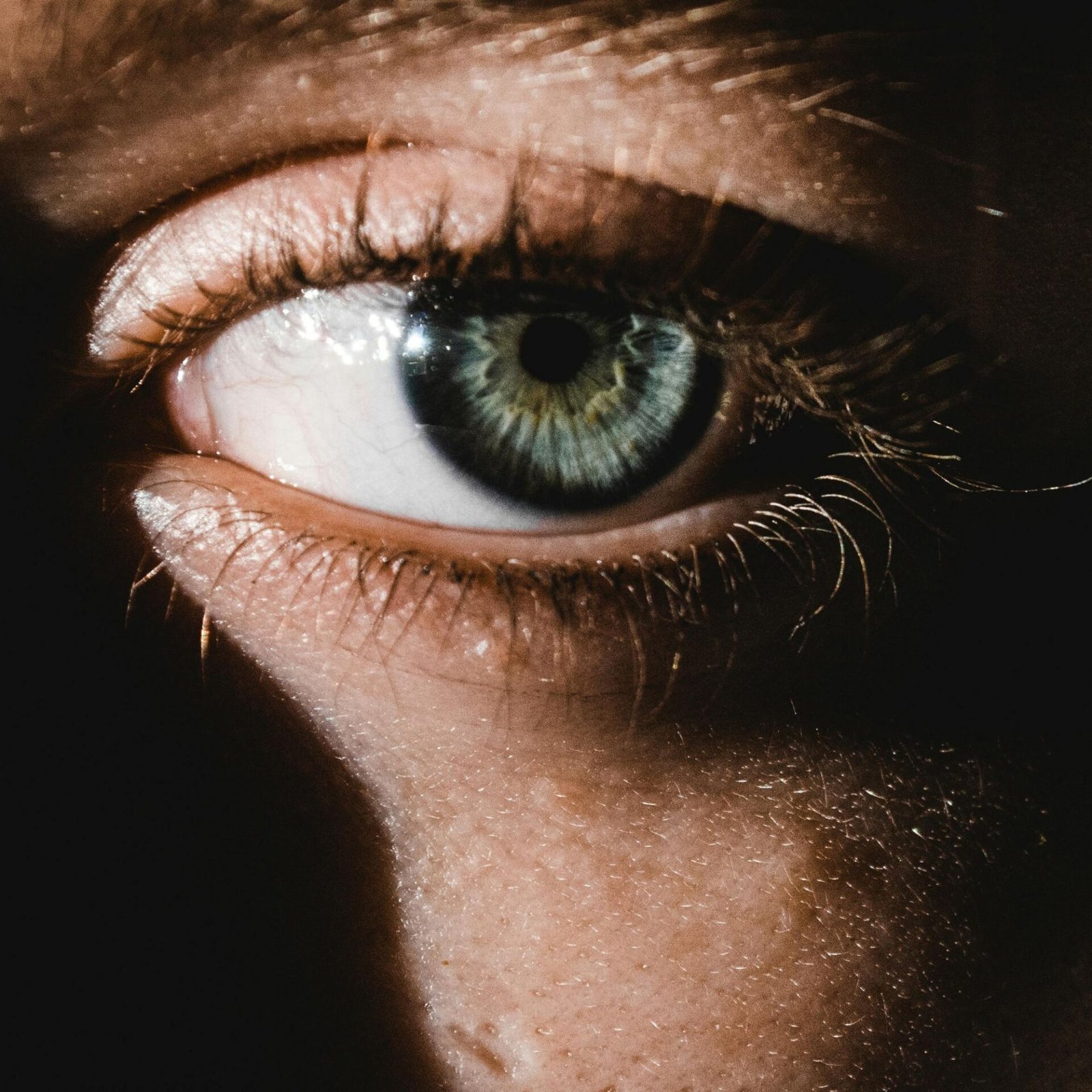 pexels-mati-26099256387058944687609378.jpg