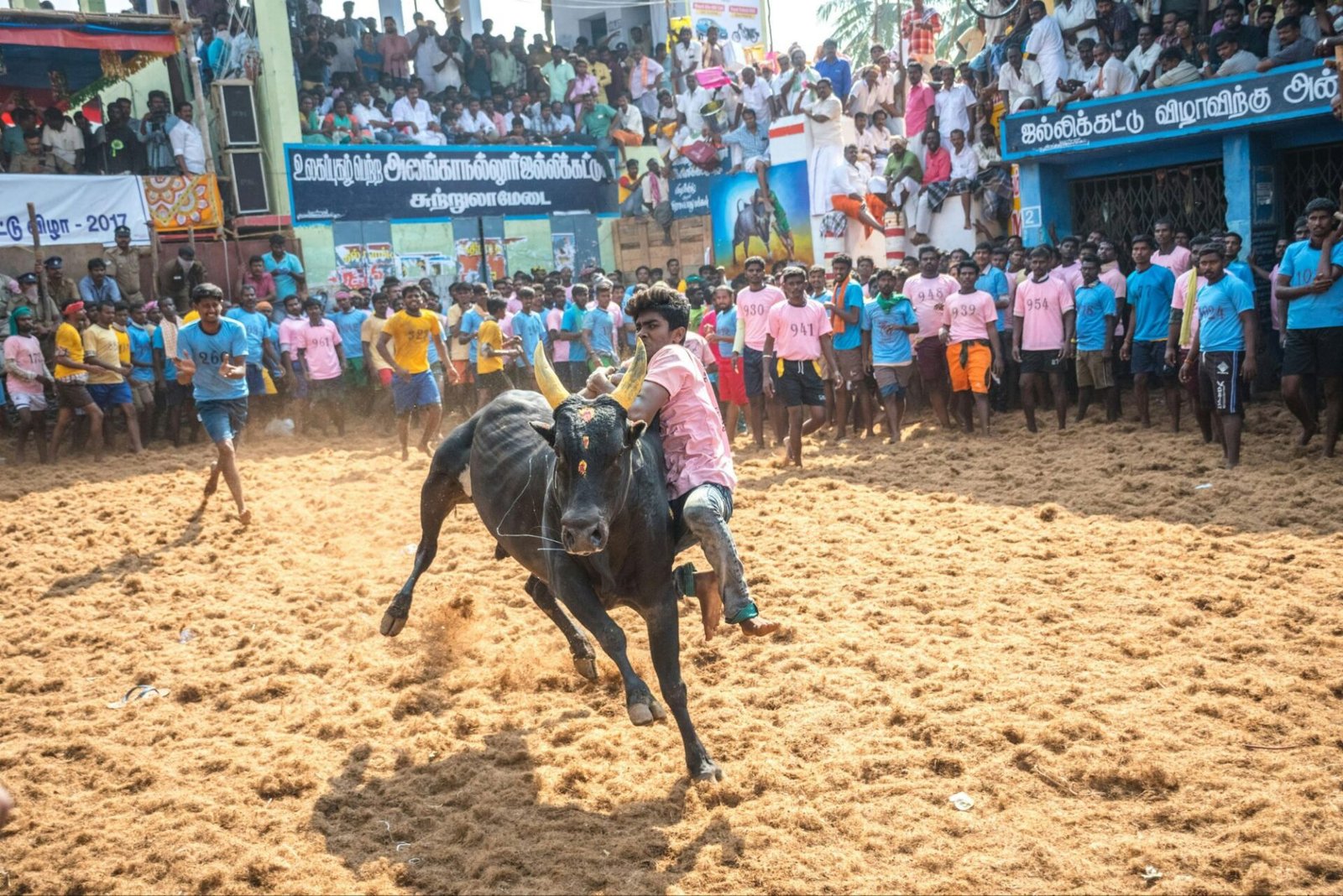 pexels-ranjith-kumar-677916668-178772325522680769730226135.jpg