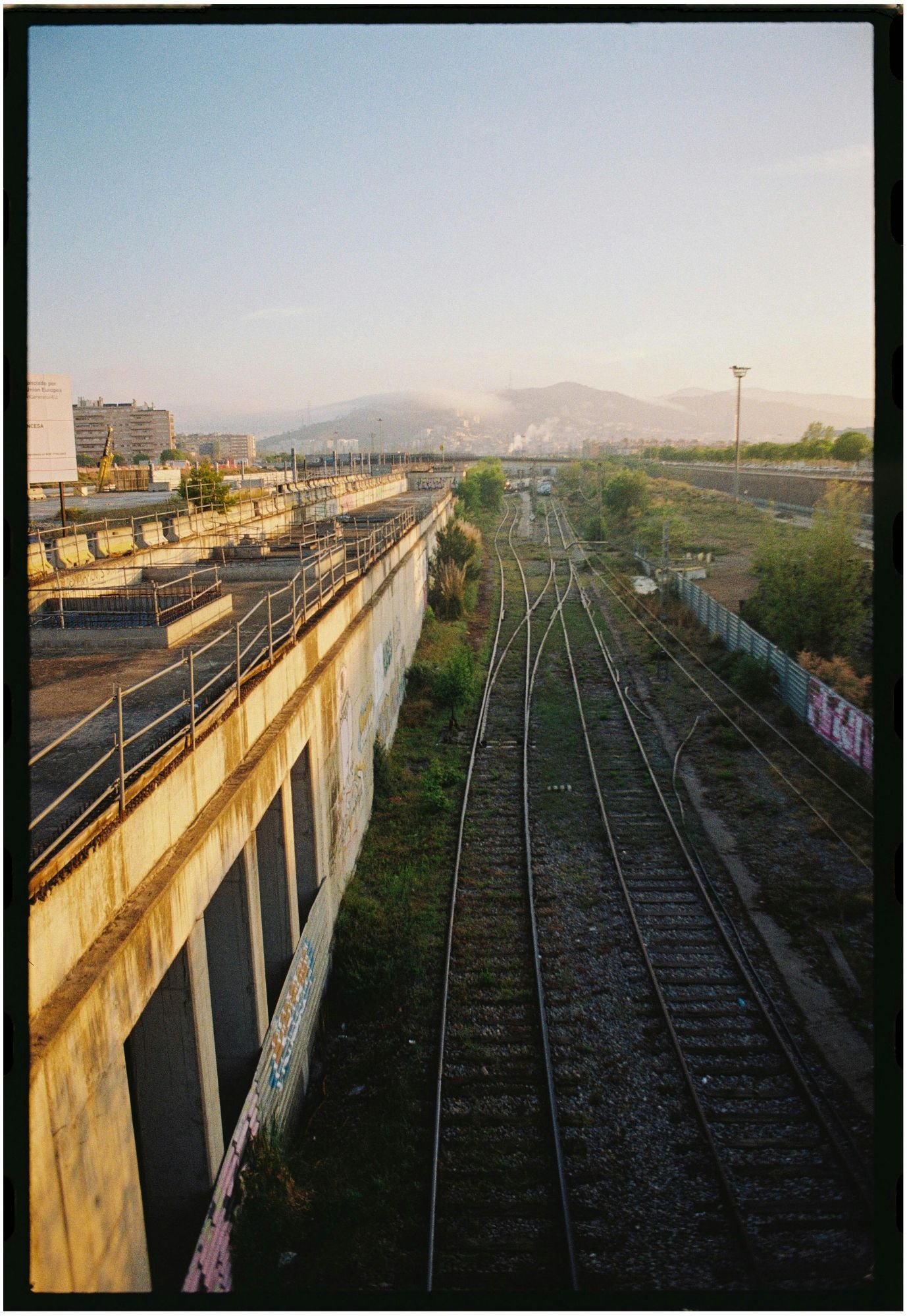 pexels-adria-masi-461420600-234136337543686938525253943.jpg
