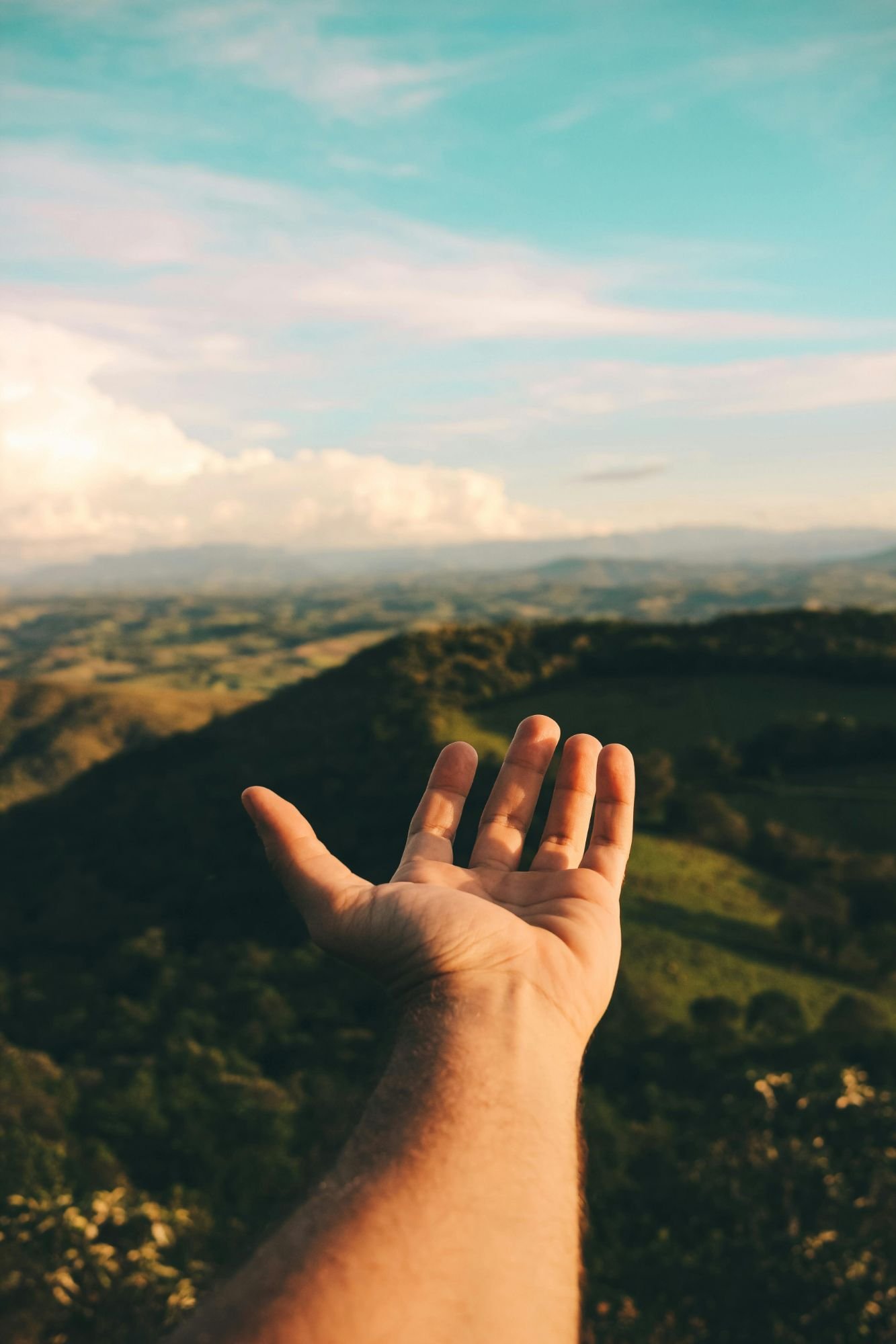pexels-victorfreitas-7726621336678118344788004.jpg