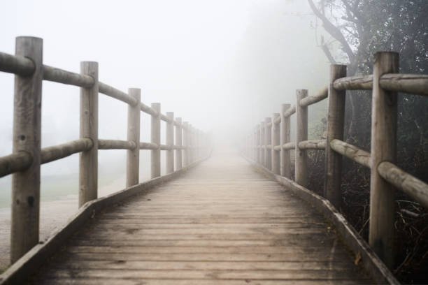 istockphoto-1440201881-612×612.jpg
